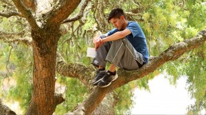 Danny in Tree