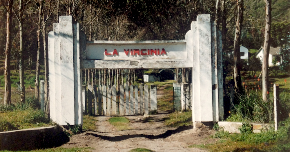 La Virginia